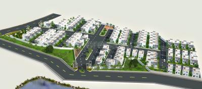 Project Images
