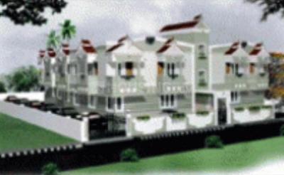 Project Images