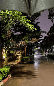 Project Image of 5600 Sq.ft 6 BHK Villa for sale in Labhandih for Rs. 39000000