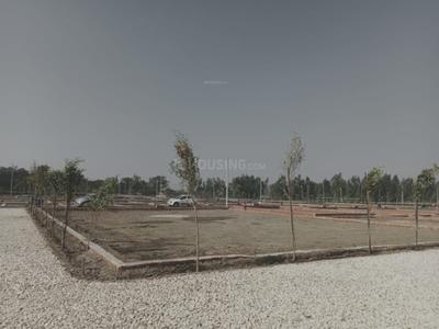 Project Images