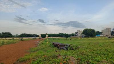 Project Image of 1442.36 - 6964.25 Sq.ft Residential Plot Plot for buy in Rajabhoomi Aananda