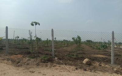 Project Image of 1350.0 - 3600.0 Sq.ft Residential Plot Plot for buy in Druvitha Rivers Edge Nature Greens