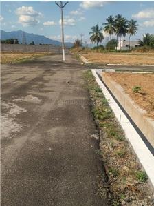 Project Images