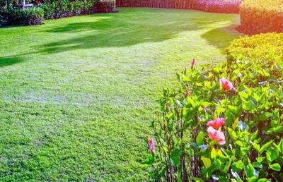 Project Image of 2650.0 - 3600.0 Sq.ft 3 BHK Villament for buy in Shriram Chirping Woods Villaments