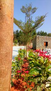 Project Image of 1200.0 - 1500.0 Sq.ft Residential Plot Plot for buy in Hum Devlok