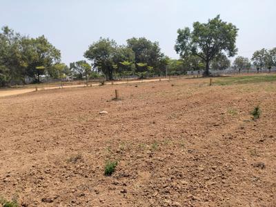 Project Image of 0.0 - 1359.0 Sq.ft Residential Plot Plot for buy in Abhista Arrjava Farms
