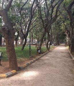 Project Image of 1500.0 - 2650.0 Sq.ft 3 BHK Apartment for buy in Ansal Casa Ansal