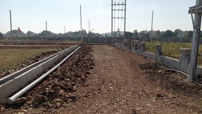 Project Image of 710.42 - 1814.9 Sq.ft Residential Plot Plot for buy in Ms Royal IB City