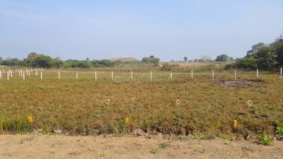 Project Image of 0.0 - 1485.0 Sq.ft Residential Plot Plot for buy in Mhasrul 181