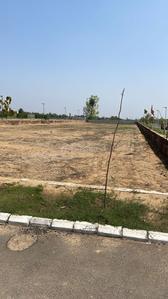 Project Image of 810.0 - 1602.0 Sq.ft Residential Plot Plot for buy in Corona Greens