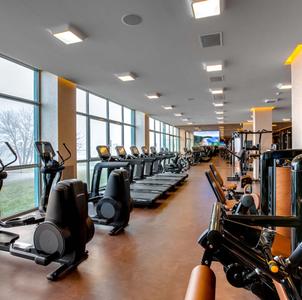 Project Image of 1050.0 - 3662.0 Sq.ft 2 BHK Apartment for buy in Mangalya Novena Green