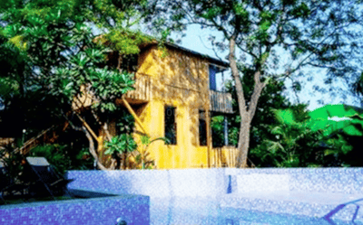 Gallery Cover Pic of Evergreen Mango Orchad Tree Houses