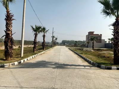 Project Image of 900.0 - 9000.0 Sq.ft Residential Plot Plot for buy in AMG Palm Garden
