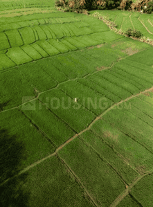 Project Image of 5971.6 - 20954.97 Sq.ft Residential Plot Plot for buy in Geown Northwinds