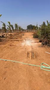Project Image of 1350.0 - 1800.0 Sq.ft Residential Plot Plot for buy in AVM Keertika Farms