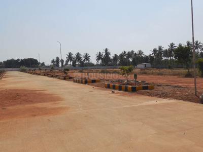 Project Image of 0.0 - 1200.0 Sq.ft Residential Plot Plot for buy in Peninsula Pine woods