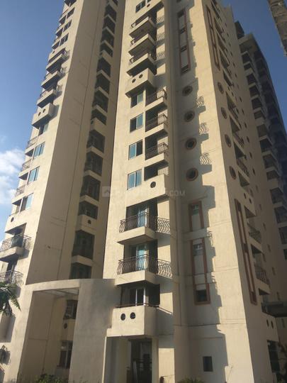 Sikka Kaamna Greens - Image 3