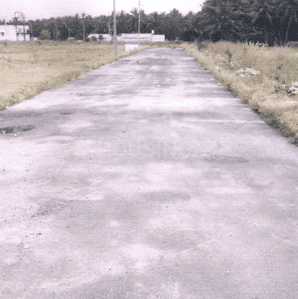 Project Images