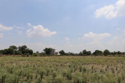Project Image of 700.0 - 2000.0 Sq.ft Residential Plot Plot for buy in Pitambara Enclave