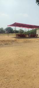 Project Image of 1350.0 - 2700.0 Sq.ft Residential Plot Plot for buy in Mukesh Sez Enclave