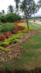 Project Image of 1108.0 - 2400.0 Sq.ft Residential Plot Plot for buy in Shriram Godhuli