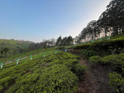 Project Image of 1000.0 - 12589.0 Sq.ft Residential Plot Plot for buy in Green Farm Estates