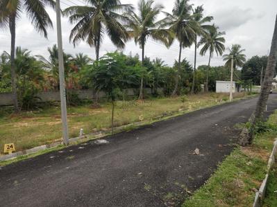 Project Image of 1200.0 - 2000.0 Sq.ft Residential Plot Plot for buy in Prutvi Sri Sai Royal Meadows