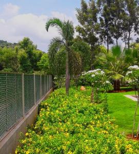 Project Image of 5445.0 - 21780.0 Sq.ft Residential Plot Plot for buy in Divine Euphoria