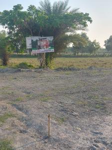 Project Image of 1440.0 - 2160.0 Sq.ft Residential Plot Plot for buy in Southview Star City