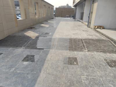 Project Image of 0.0 - 2665.63 Sq.ft 4 BHK Apartment for buy in Sharva The Empyrean