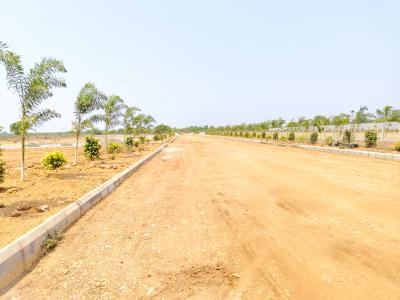 Project Image of 1503.0 - 4050.0 Sq.ft Residential Plot Plot for buy in Green County
