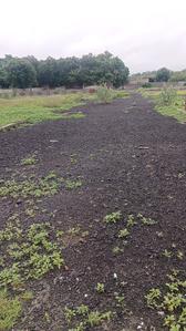 Project Image of 384.81 - 1799.73 Sq.ft Residential Plot Plot for buy in Shree Moti Vihar