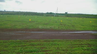 Project Image of 0.0 - 1200.0 Sq.ft Residential Plot Plot for buy in Regal Avenue