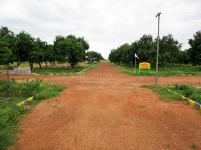 Gallery Cover Pic of JAK Villa