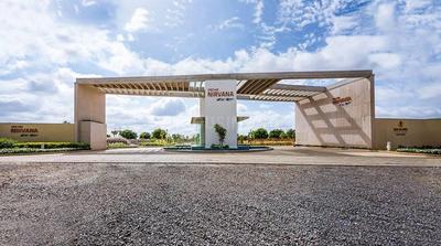Project Image of 3045.0 - 6000.0 Sq.ft Residential Plot Plot for buy in Goyal Orchid Nirvana