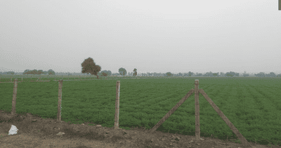Project Image of 409.67 - 1179.83 Sq.ft Residential Plot Plot for buy in Shree Swastik Grand Phase 2