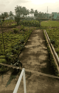 Project Images