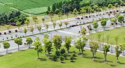Project Image of 1200.0 - 12000.0 Sq.ft Residential Plot Plot for buy in Krishna Greens Midlake