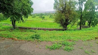 Project Image of 1000.0 - 3000.0 Sq.ft Residential Plot Plot for buy in Bhoomi Plots In Pali