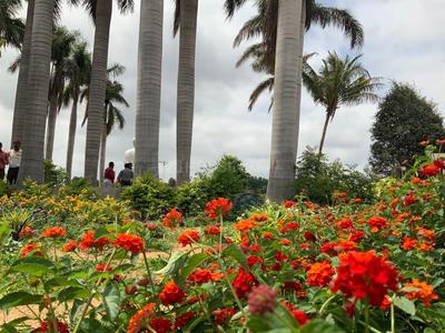 Project Image of 1335.0 - 3158.0 Sq.ft Residential Plot Plot for buy in Peram Aditya Jewel