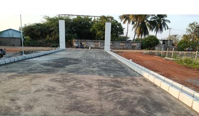Project Images