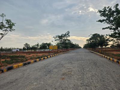 Project Image of 2174.31 - 6167.72 Sq.ft Residential Plot Plot for buy in Shiva Nandi Phase 1