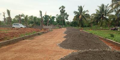 Project Image of 1260.45 - 12902.7 Sq.ft Residential Plot Plot for buy in Beach Aero City