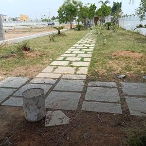 Project Images