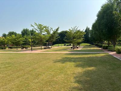 Project Image of 4500.0 - 9000.0 Sq.ft Residential Plot Plot for buy in Suramya Abode