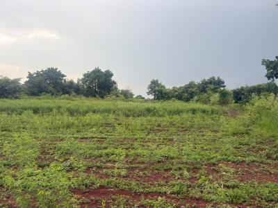 Project Image of 2700.0 - 10800.0 Sq.ft Residential Plot Plot for buy in Creos The Roots