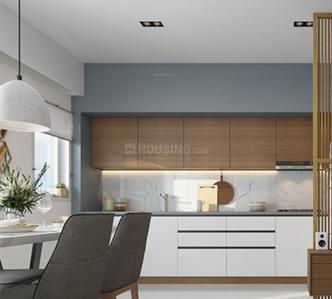 Project Images