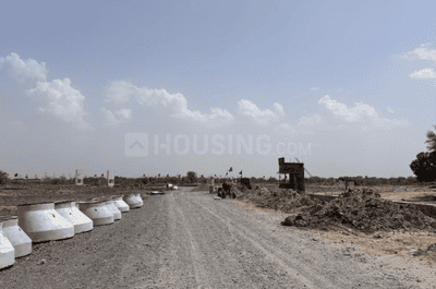 Project Image of 452.84 - 2624.56 Sq.ft Residential Plot Plot for buy in Mango Padam Vihar