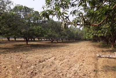 Project Image of 0.0 - 1200.0 Sq.ft Residential Plot Plot for buy in HomeswarD Green Garden Estate