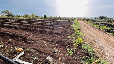 Project Image of 5445.0 - 43560.0 Sq.ft Residential Plot Plot for buy in Lotus Mana Polam